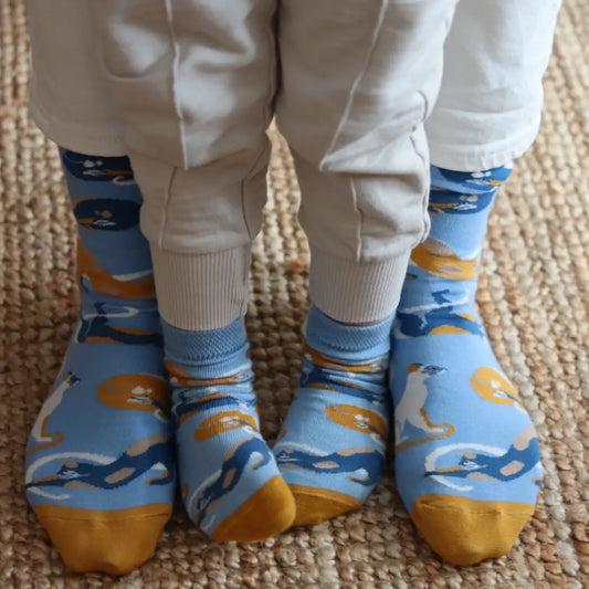 F(R)AMILY BOX - KITTY KAT