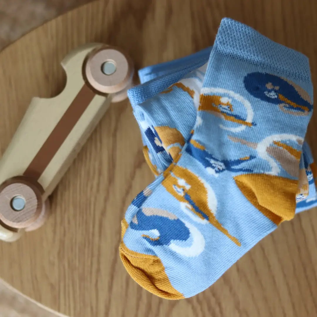 F(R)AMILY BOX - KITTY KAT