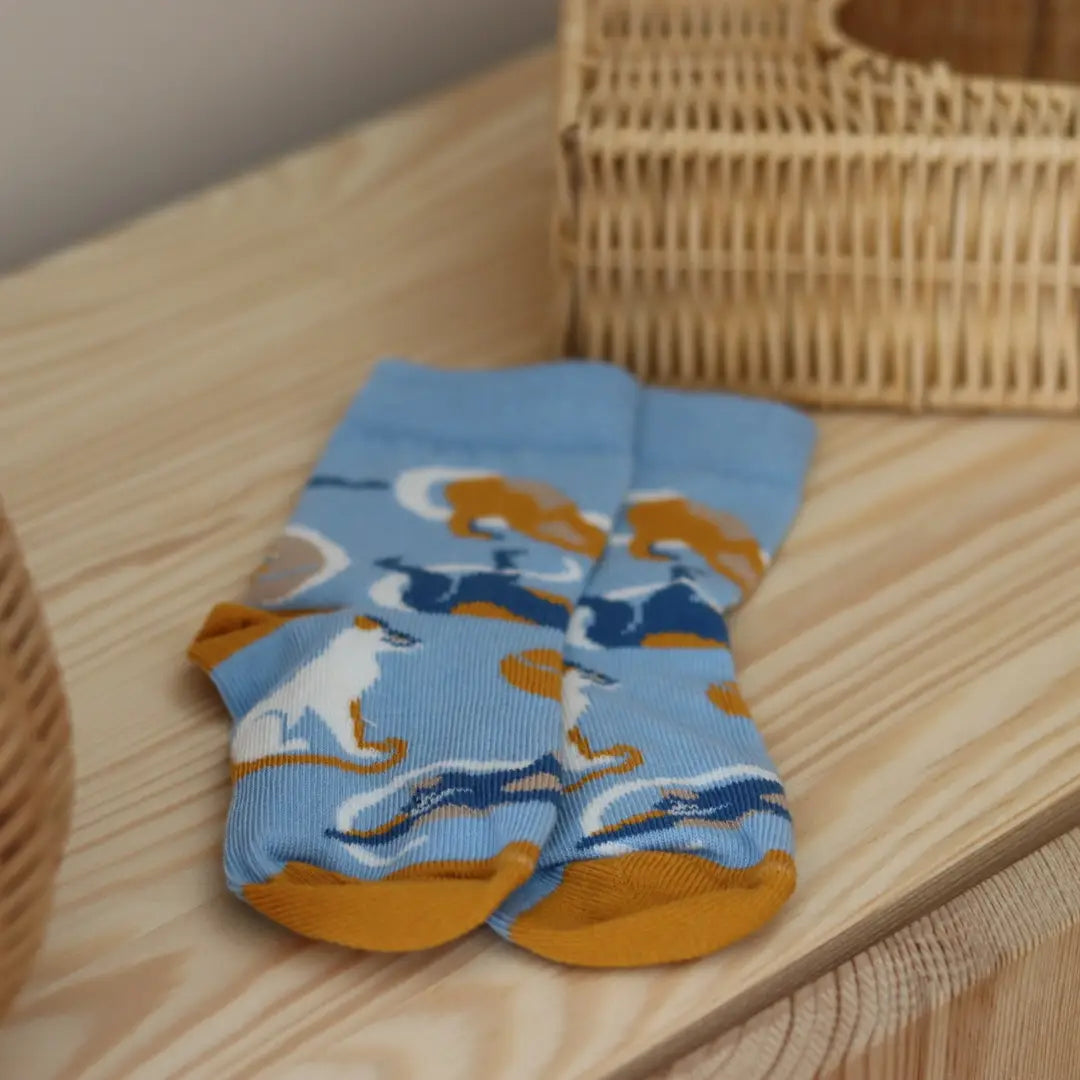 F(R)AMILY BOX - KITTY KAT