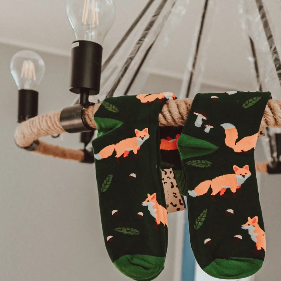 F(R)AMILY BOX - FOXY FAMILY